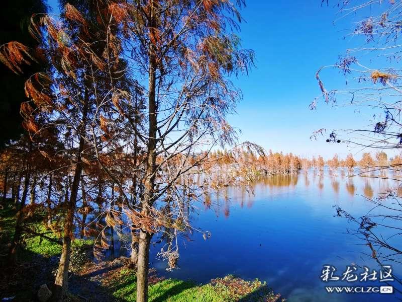 乱斗西游2