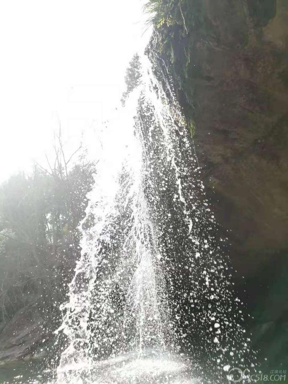 88影视