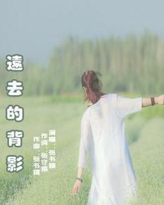 维京人之战