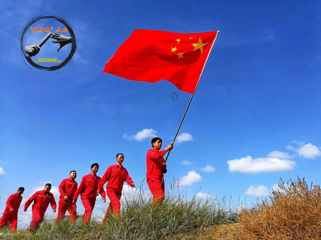 救援七星瓢虫