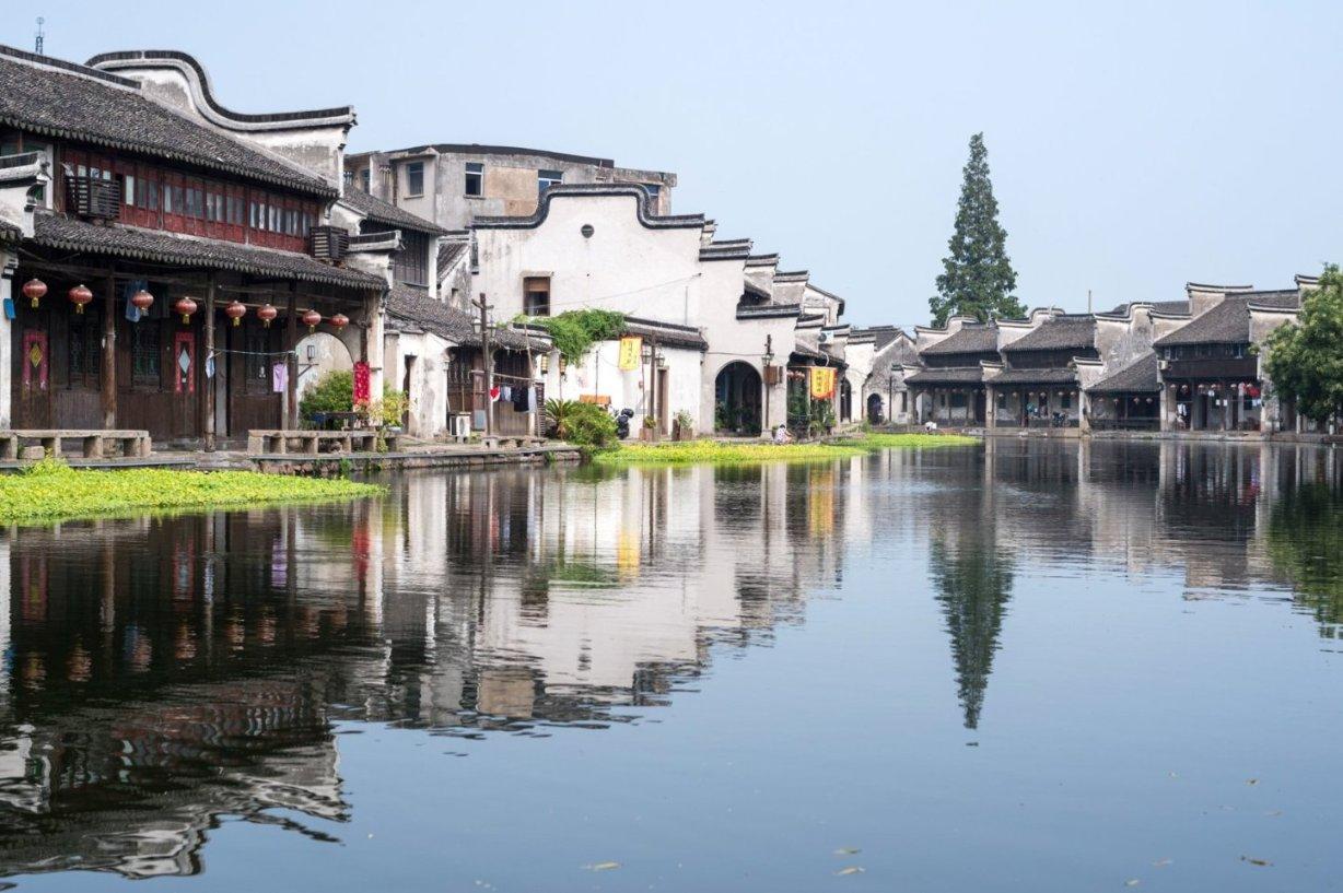 小香菇引领村民走上“致富路”